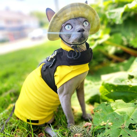 Meet your Posher, Brianne - Picture 1 of 1